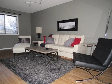 Fully Furnished 3 Bedroom in Regina, Everything Included! Image# 10