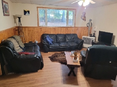 Roommate Wanted /Room for Rent $800/month Image# 1