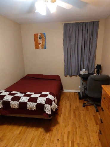 Room For Rent, please call 506 454 6801 to book a viewing, Image# 1