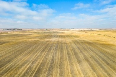 2318 Acres Farmland FOR SALE RM Norton #68 - Highway 6 Frontage! Image# 1