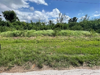 Vacant Lot in Bokeelia on Pine Island in Florida USA Image# 5