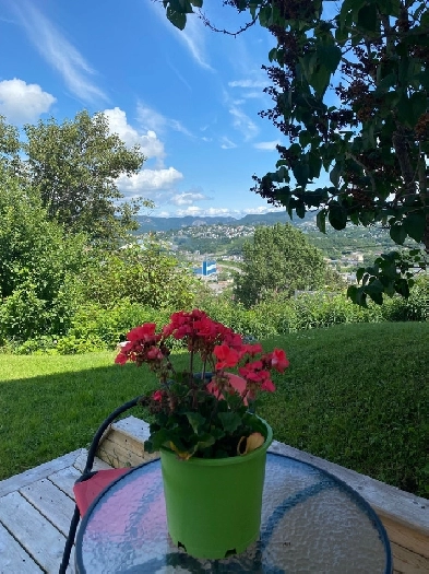 1 Bedroom Apartment For Rent Image# 1