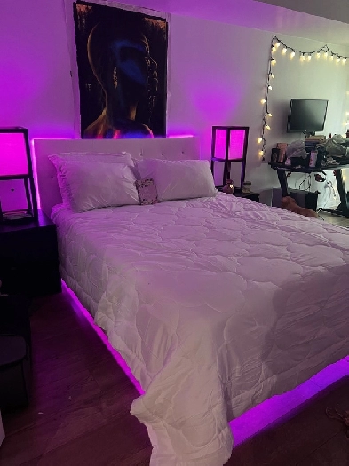 Downtown Furnished condo for short term rental