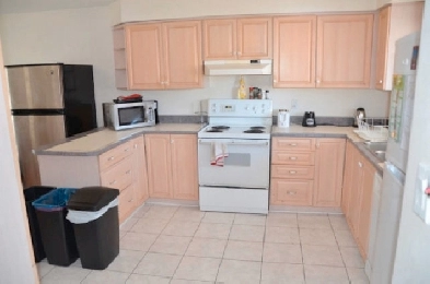 NEW!-Oct1-Merivale/Baseline-10m./Walk/Algonq-30m/Carleton-VIDEO Image# 1