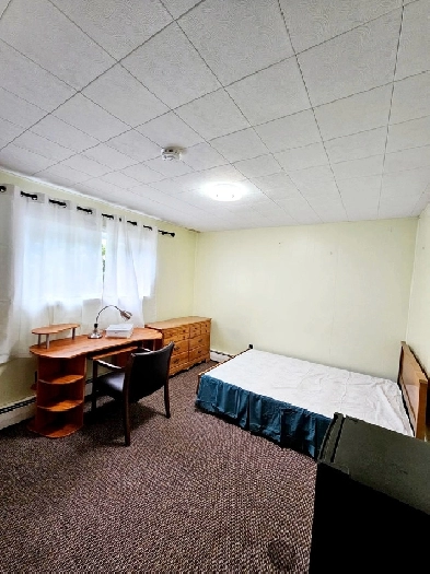 A few rooms available near UNB/STU/NBCC hospital Image# 1