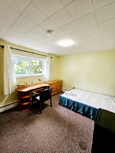 A few bedrooms and studios available near UNB/STU/NBCC Hospital Image# 1