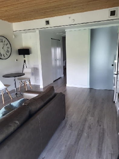 ONE BED APARTMENT DOWNTOWN WINNIPEG ALL INCLUSIVE Image# 5