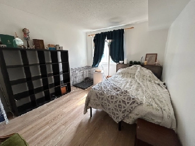 Orleans Room for rent- perfect location ! Image# 1