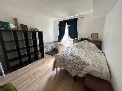 Orleans Room for rent- perfect location ! Image# 7