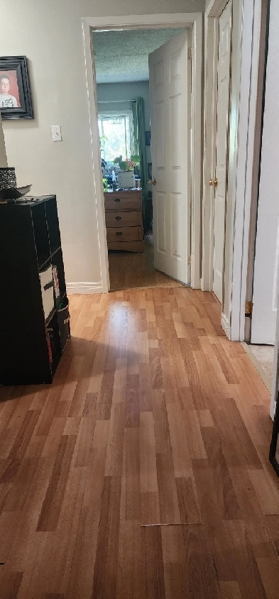 Roommate wanted Image# 1