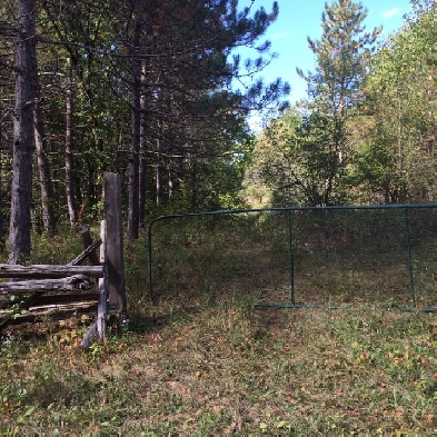 Builders & investors delight! Image# 1