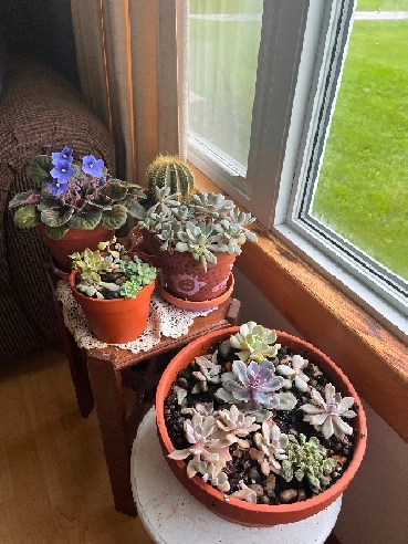 Room(s) for Rent Image# 1