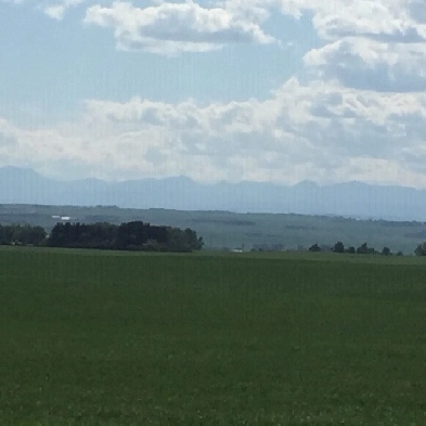 60 Acres of Beautiful Land for Sale in Aldersyde near Okotoks AB Image# 9