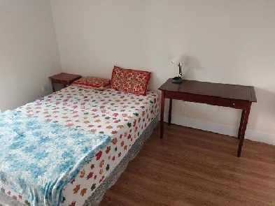 Available now - Furnished room for a female, separate bath Image# 6