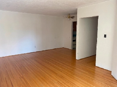 550ft2 - LARGE 1BDRM UNFURNISHED APARTMENT - MARPOLE Image# 1