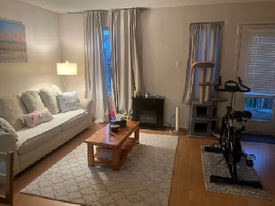 Female Roomate Urgent Image# 2