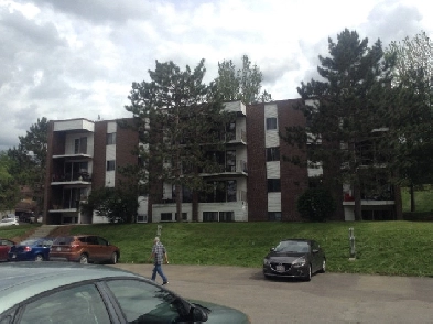 2 bedroom for november the 1st pet friendly Image# 1