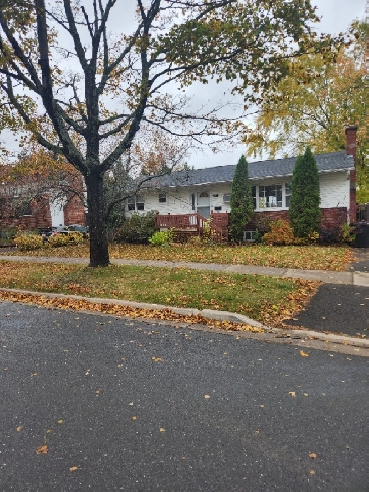 Room available in house near universities Image# 1