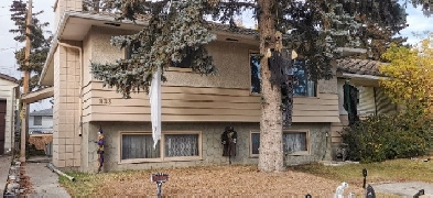 Cozy Inner City Retreat: 4-Bedroom Short-Term Rental Image# 1