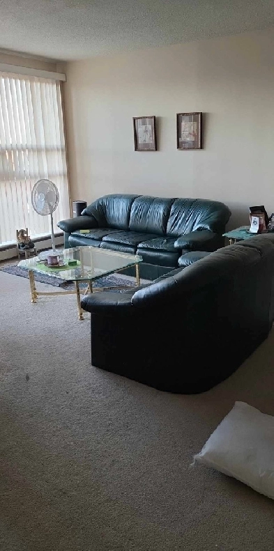 Roommate wanted (female) Image# 1