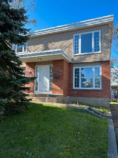 Renovated Apartment Image# 1