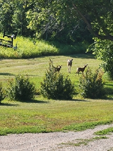 Acreage for sale Image# 1