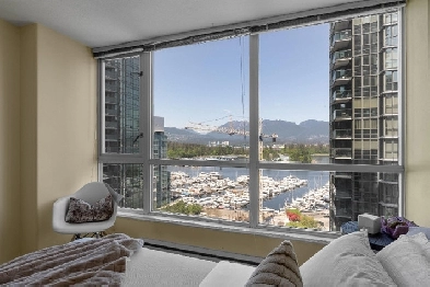 Room for Rent in Downtown!  Exclusive Perks Included! Image# 8