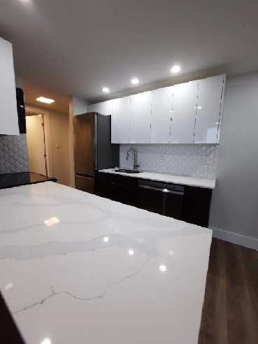 Dutch Village Rd | 1 Bed 1 Bath Modern & Bright Nov/Dec $1595 Image# 1