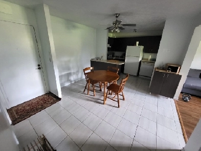 3½ Rénové (Sherbrooke - Secteur Université & Mont-Bellevue)