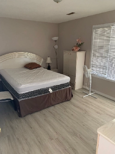 Clean room for rent in Edgemont Image# 1