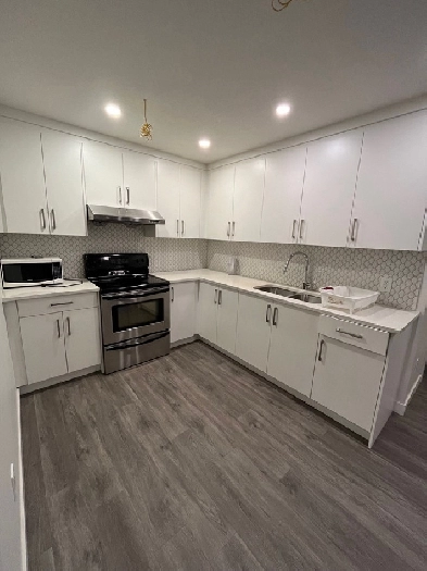 Chestermere Basement for Rent Image# 4