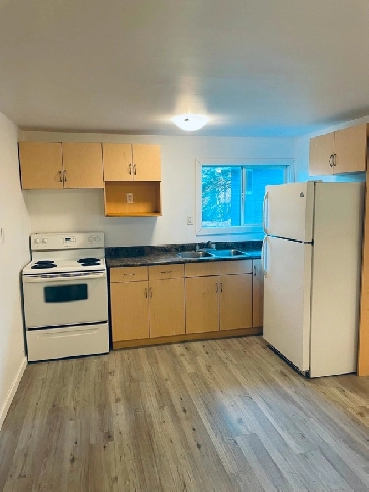 Cute Main Floor Unit for Rent in Blumenort Available Nov 1! Image# 7