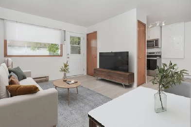 Newly Renovated 1 Bedroom Townhouse in Selkirk for Rent! Image# 3