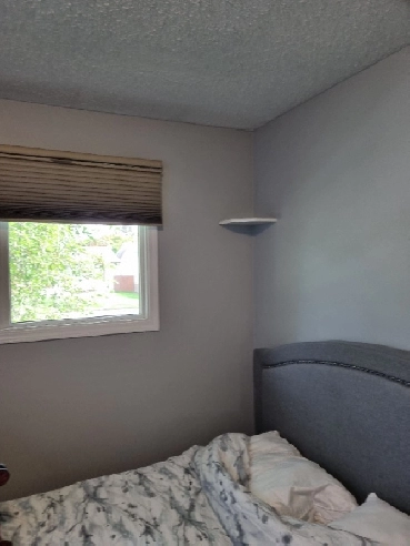 room for rent/ female only Image# 1