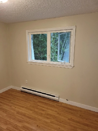 Bachelor/ Studio apt. Image# 1