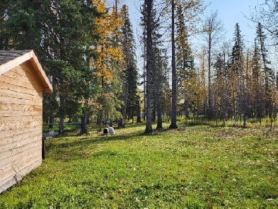 Edson Crew acreage suite cheaper than hotel Image# 4