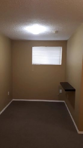 One bedroom walk out basement in Taradale Image# 2