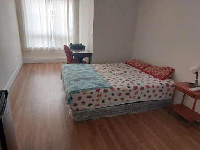 Available now - furnished room for a female with separate bath Image# 1