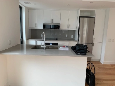 Beautiful 1 bedroom condo for rent in downtown Ottawa Image# 1