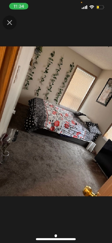 room available in private as well sharing Image# 1