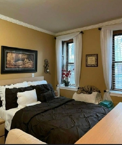 1 Bed 1 Bath Apt Image# 2