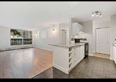 Windsor Park - Beautiful 1 bedroom w parking stall Image# 1