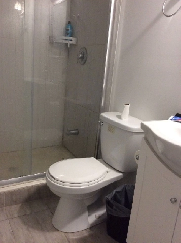 Room for rent near Finch/pharmacy Image# 1