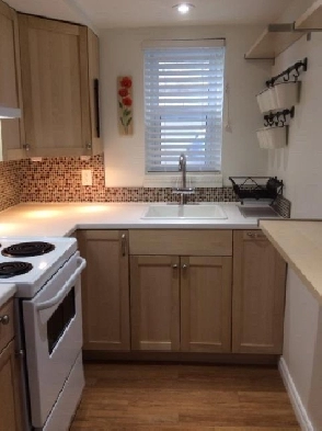 One bedroom apartment in Hintonburg Image# 3