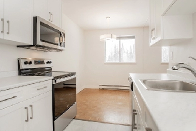 Newly Renovated 1 Bedroom Apartment in Pinawa for Rent! Image# 2