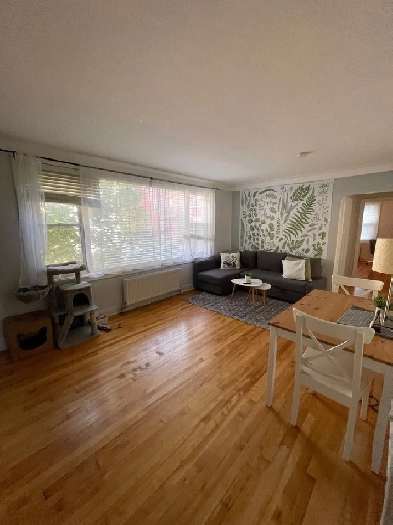 3 Bedroom Apartment in Sandy Hill Image# 8