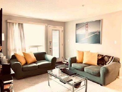 1 BEDROOM 1 BATHROOM CLAREVIEW LRT AREA AVAILABLE NOW Image# 1