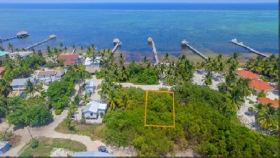 'Island Paradise Awaits: Land for Sale in the Tropics' Image# 1