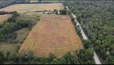 58 acres Farm Land - Build Your Dream House Image# 1