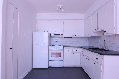 3 1/2 for rent à louer PLATEAU MONT-ROYAL Image# 1